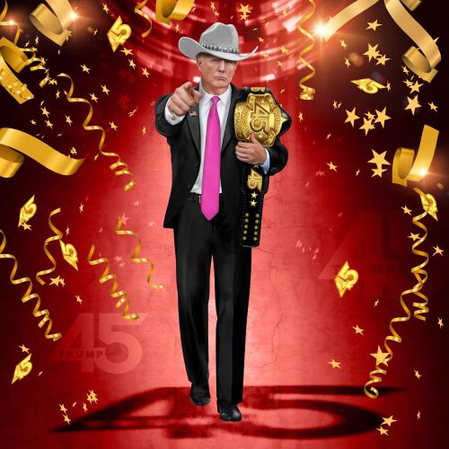 Trump Digital Trading Card Series 2 #30367