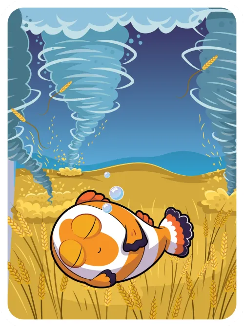 Candid Clownfish #28873