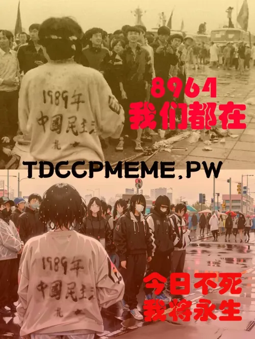 TXT08_8964_264
