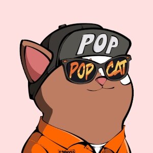 Pop cat #6382