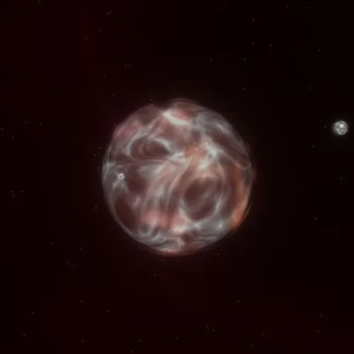 D06P0564 (#93881194)