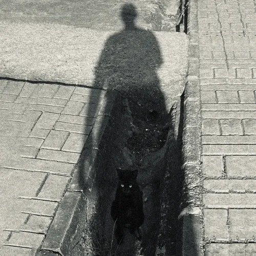 Lurking in Shadow