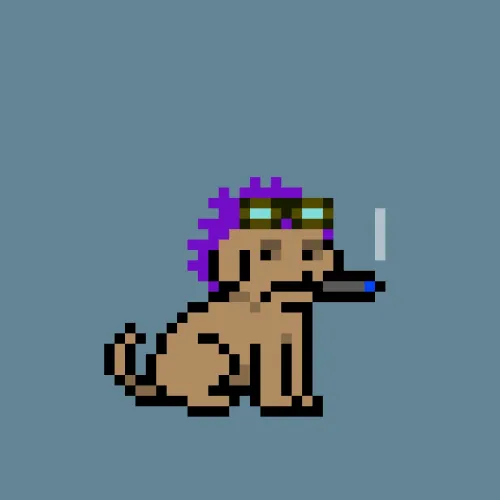 PUPZ #937
