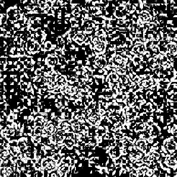 Noise #514