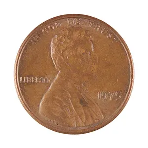 #65906237