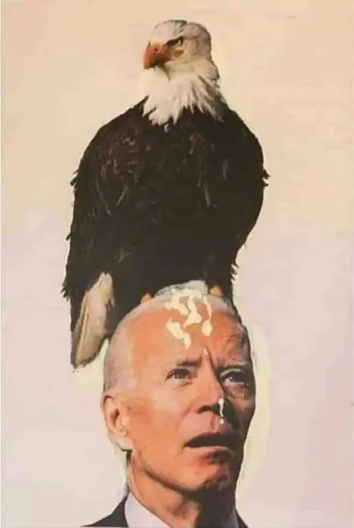 BIDEN USA 