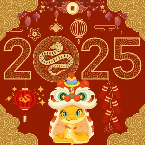 Gong xi fa cai 2025