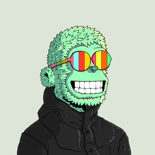 y00t #635