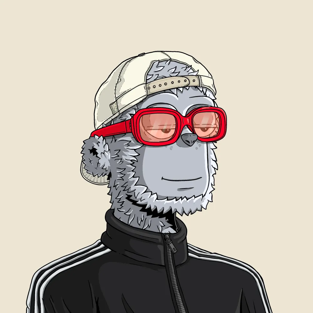 y00t #14175