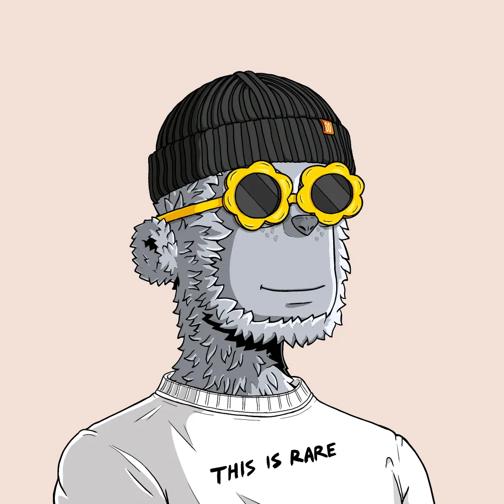 y00t #6861