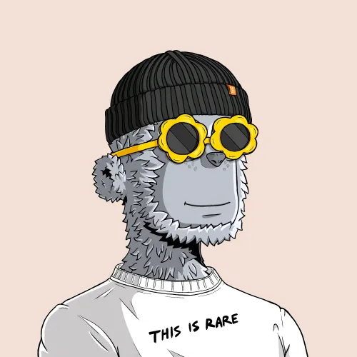 y00t #6861