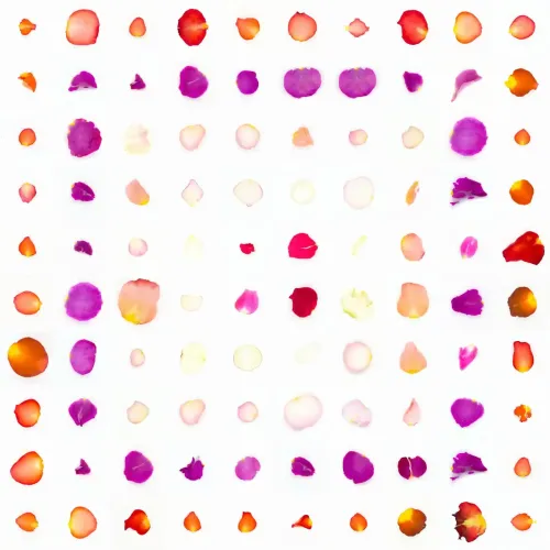 Infinite Petals 10x10#10157
