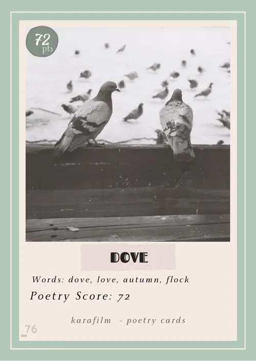 POETRY CARDS 76