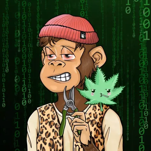 Stoned Ape #1547