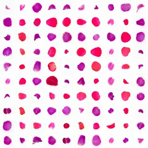 Infinite Petals 10x10#10144