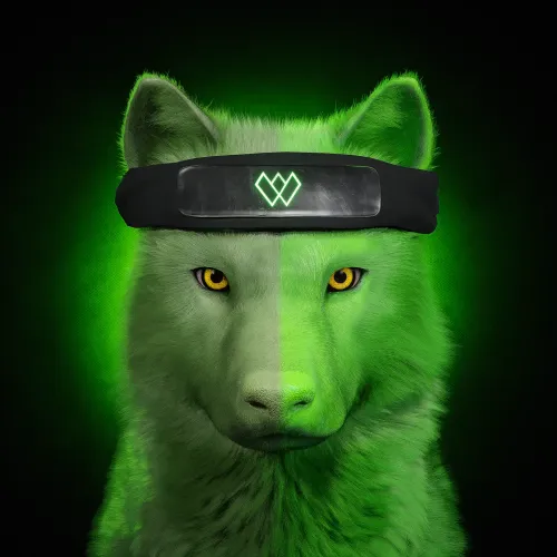Wolf #2597