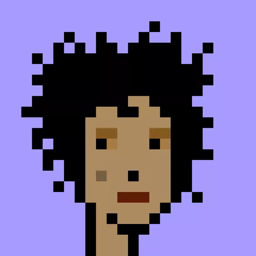 V1PUNK #3492