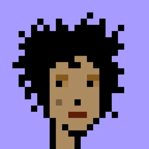 V1PUNK #3492