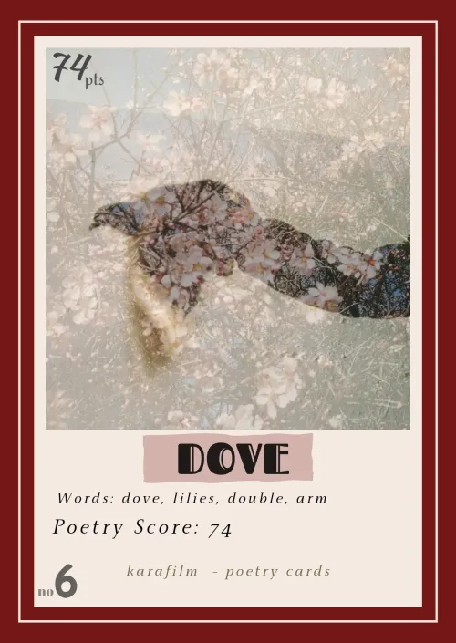 POETRY CARDS 6