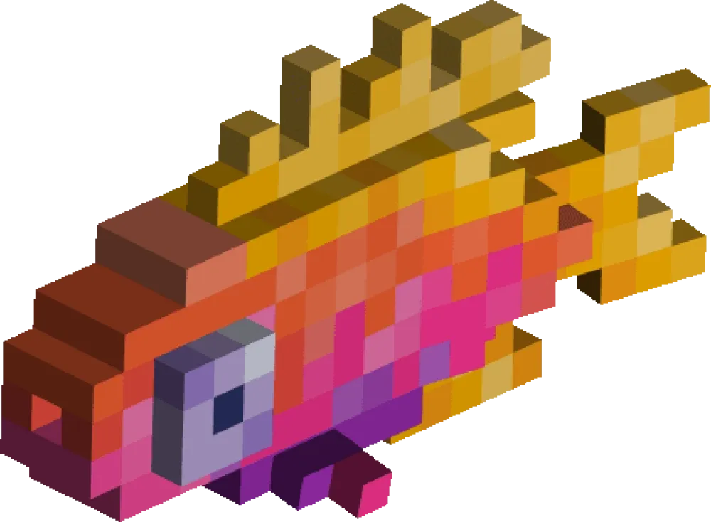 Anthias Fish