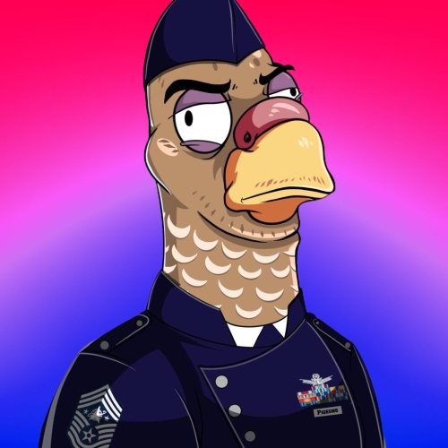 Pigeon #108