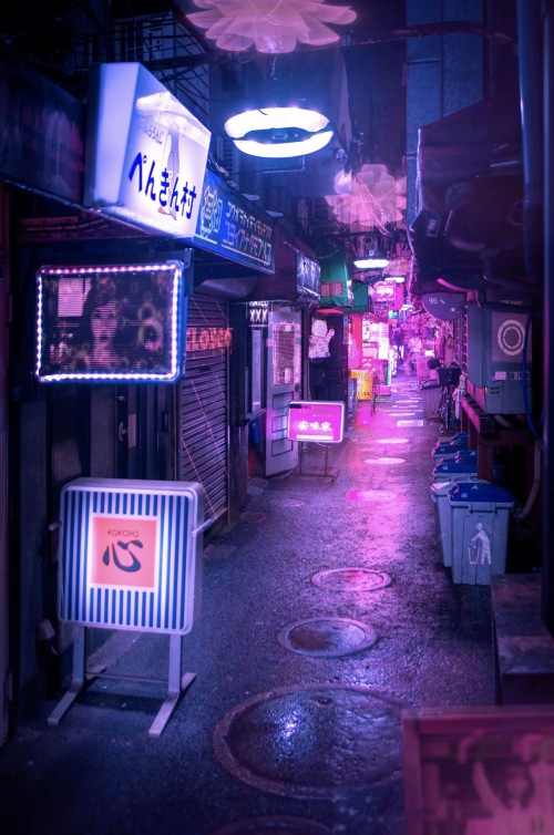 NOCTURNAL #15