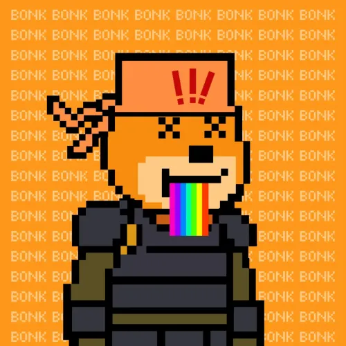 Bonkamigo #3299