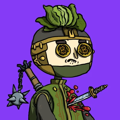 Ninja #8522