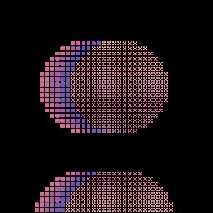 NODE #2895