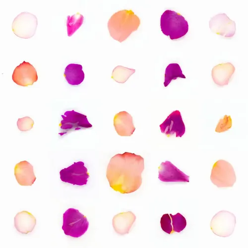 Infinite Petals 5x5#20419