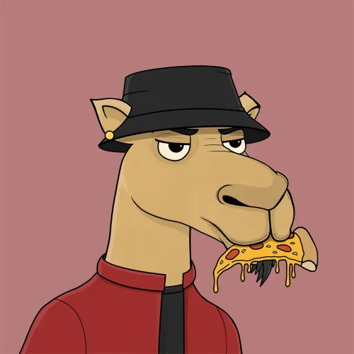 Camel #2568