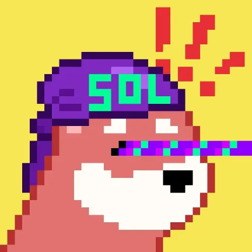 BONK on SOL #710