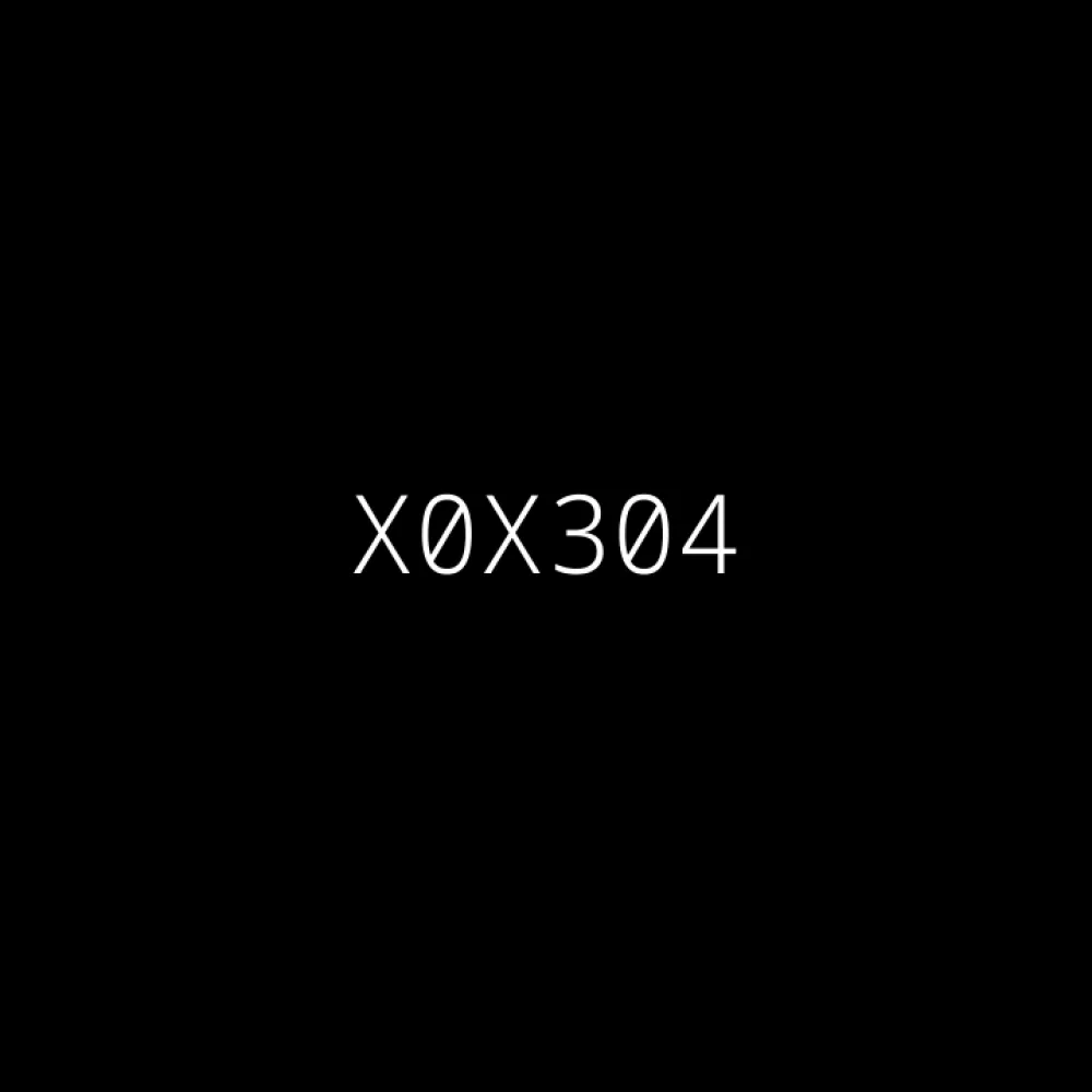 X0X304 #304