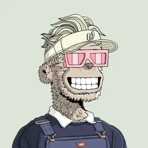 y00t #7067