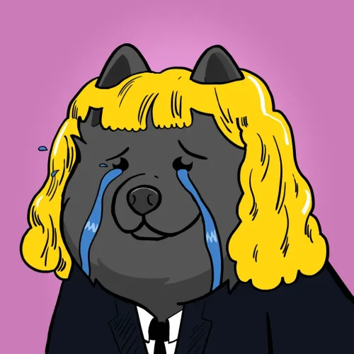 Samoyed #4969