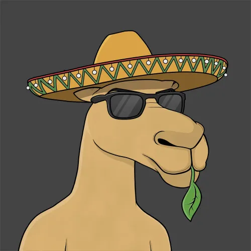 Camel #5385