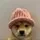 dogwifcoin