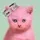 Saul Pink