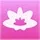 Lotus🪷