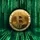 The Bitcoin Matrix Podcast ⚡️