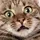 KKGB Kitty