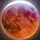 Apollo11 | Allora.network