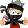The Economic Ninja