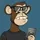 ApeConcierge.io | APE PASS