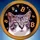 hodlcat ₿