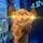 Camel Finance YT ⚡️