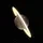 All day Astronomy