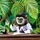 Overeducated Gibbon