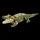 Amygator 🐊 *not an actual alligator