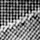 Scale Bar